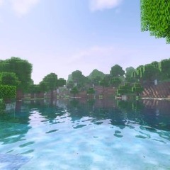 C418 - Droopy Likes Ricochet + Droopy Likes Your Face