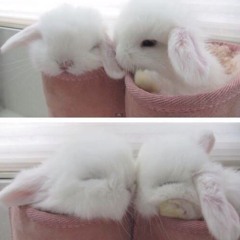 :3333