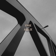 Dancefloor Diaries 16 - ynk B2B AELX (Garage Nord, Hannover @SYN x Garage Nord) [DD016]