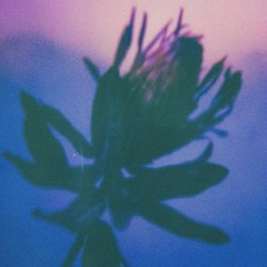 박원 (Park Won) -  자격 (Don't Deserve You)