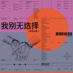 modest by default - 这个白痴想出风头 / this idiot wants to show off