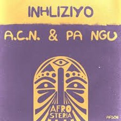 A-C-N Wonko