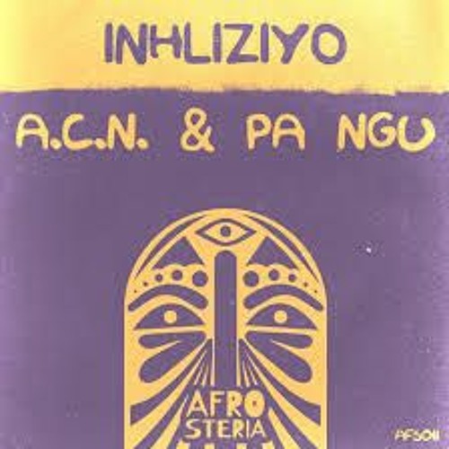 A-C-N Wonko