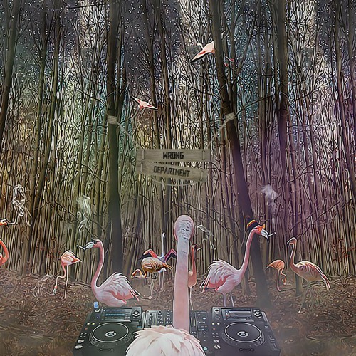 Dancing With Flamingos