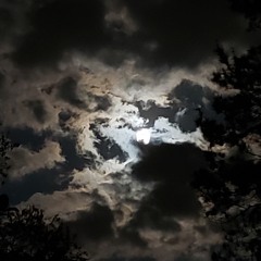 N-Tro (prod: Ae Beats)