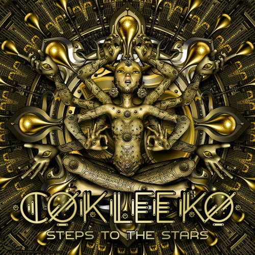 STEPS TO THE STARS