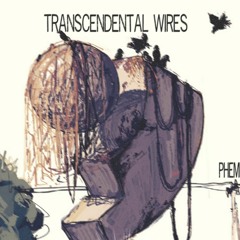 Transcendental wires