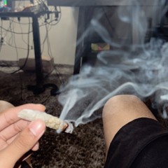 papavich- doot doota doot doot *2024*