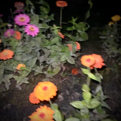 As Above So Below