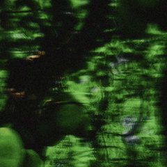 Podcast 160125 // Abyssal Jungle mix