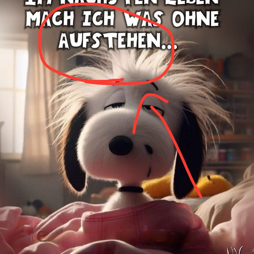 WennIchAufsteh (prod.kashi)