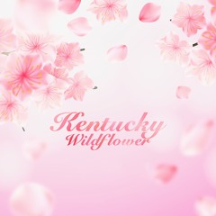 Kentucky Wildflower 16 (VSX)