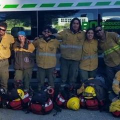 Julio Cárdenas-El SPLIF avanza sobre un foco de incendio en El Bolsón