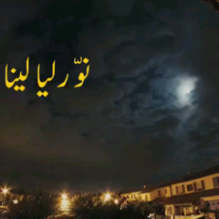 نور ليالينا