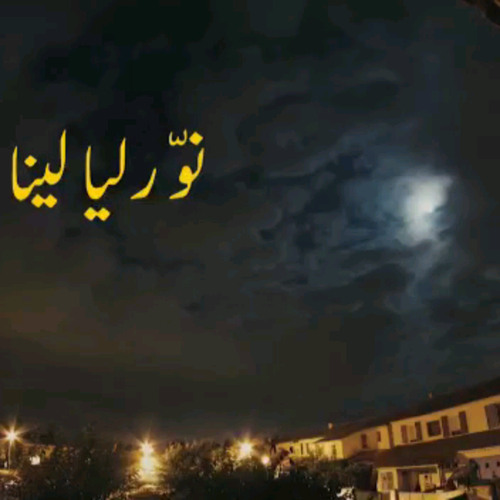 نور ليالينا