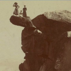 Speeding Kills Bears