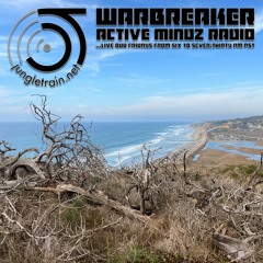 Active Mindz Radio Feb 2nd 2024 with Warbreaker on jungletrain.net