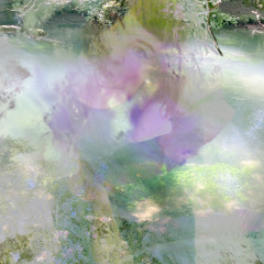 Primordial Soup