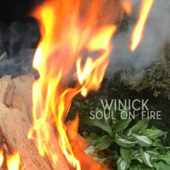 Winick  - Soul On Fire [Free Download]