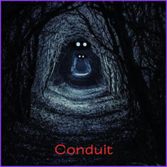 Conduit