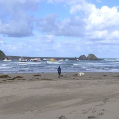 6: MS Changes Podcast Series - Awake to Joy