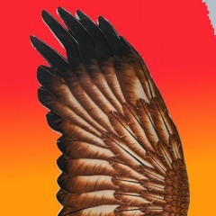 Aquila