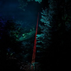 Am Bach Festival 2023