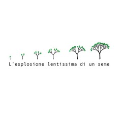 L’esplosione lentissima di un seme
