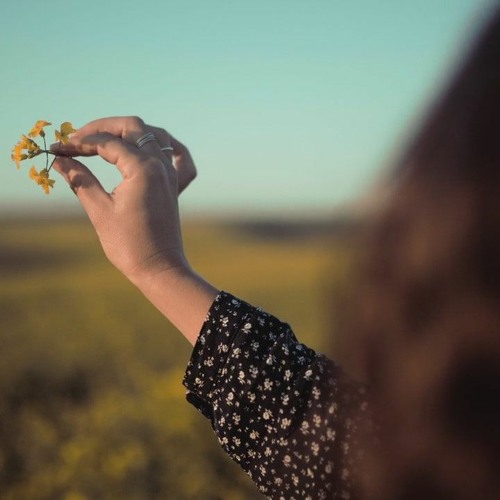 A Distant Summer's Day