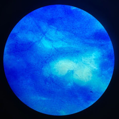 Solarius - Bus 704