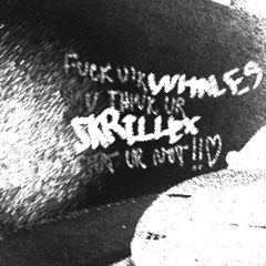 SKRILLEX & SPACE LACES - RECOVERY (WHALES REMIX)