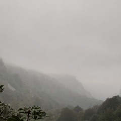 SU NOMBRE ES LIBERTAD