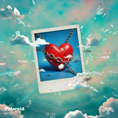 Polaroid