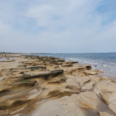 Raise your hands high!