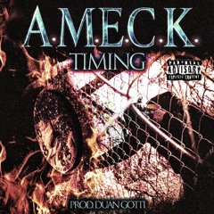 A.M.E.C.K. - TiMiNG (prod. DUAN GOTTi)