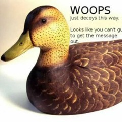 plain white t's x mc gp