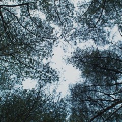 Leeyean_ambient hypnotic techno mix set_050621 .wav