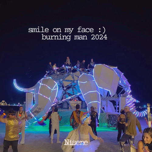 nisene - smile on my face :) burning man 2024