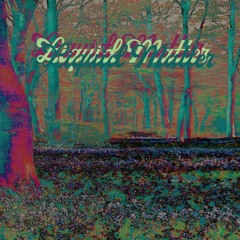 Liquid Matter