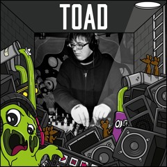 Toad Lower Sector Guest Mix [TECH/MINIMAL]
