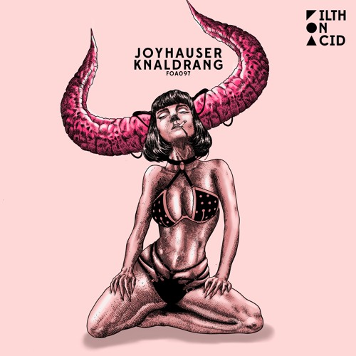 Joyhauser - Linkerhoover (Original Mix)