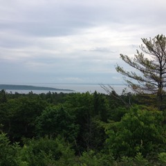 Sonata Borealis - I. Allegro