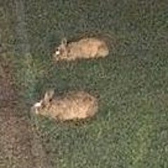 whatever you want to call it