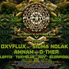 The Flipsyde 12.10.24 Groovy/Night Psy Set