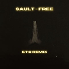 SAULT - Free (E.T.C Remix)