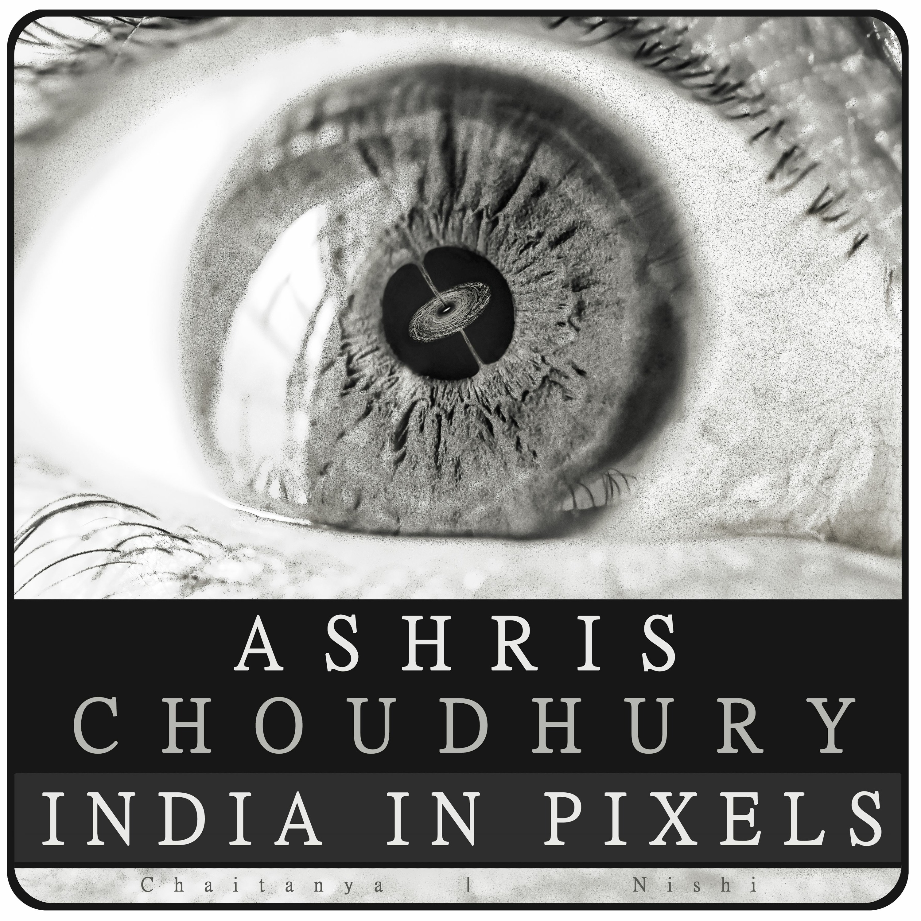 Episode 6 | Ashris Choudhury: India In Pixels