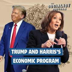 Trump and Harris’s Economic Program: Is There a Difference?