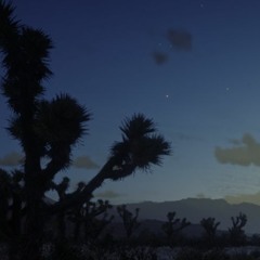 Wander