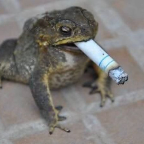 AXEL BEAU MAL - SMOKE FROGS EVERY DAY GAGOU'24 (LEZZZZZZGO EDIT)