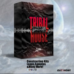 Aurelio Mendes Tribal House Sound Vol. 6